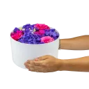 Box fialových květin